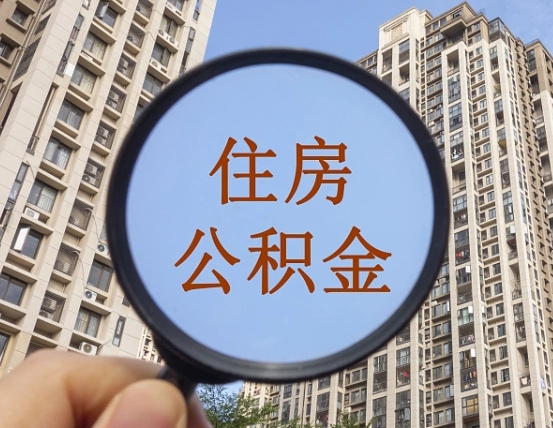 天长退休后查不到公积金明细了吗（退休后公积金查询不到原因）
